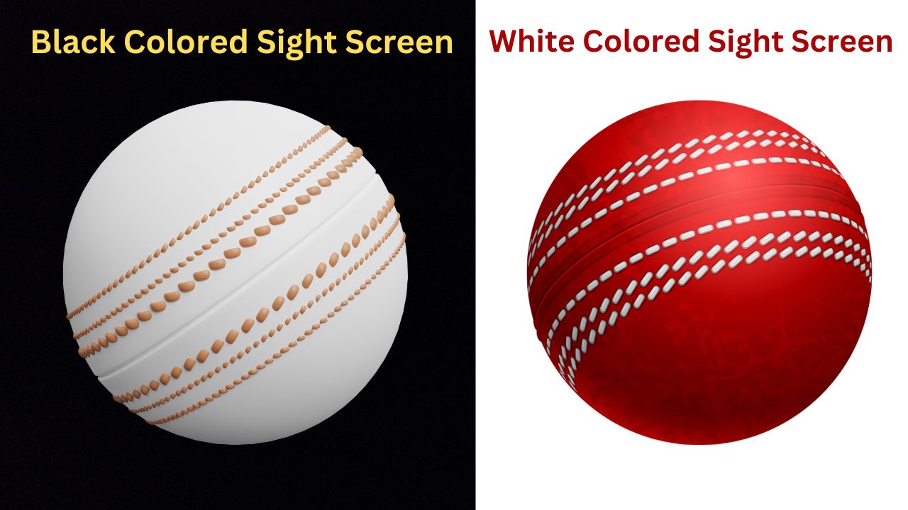 What is a Sight Screen in Cricket