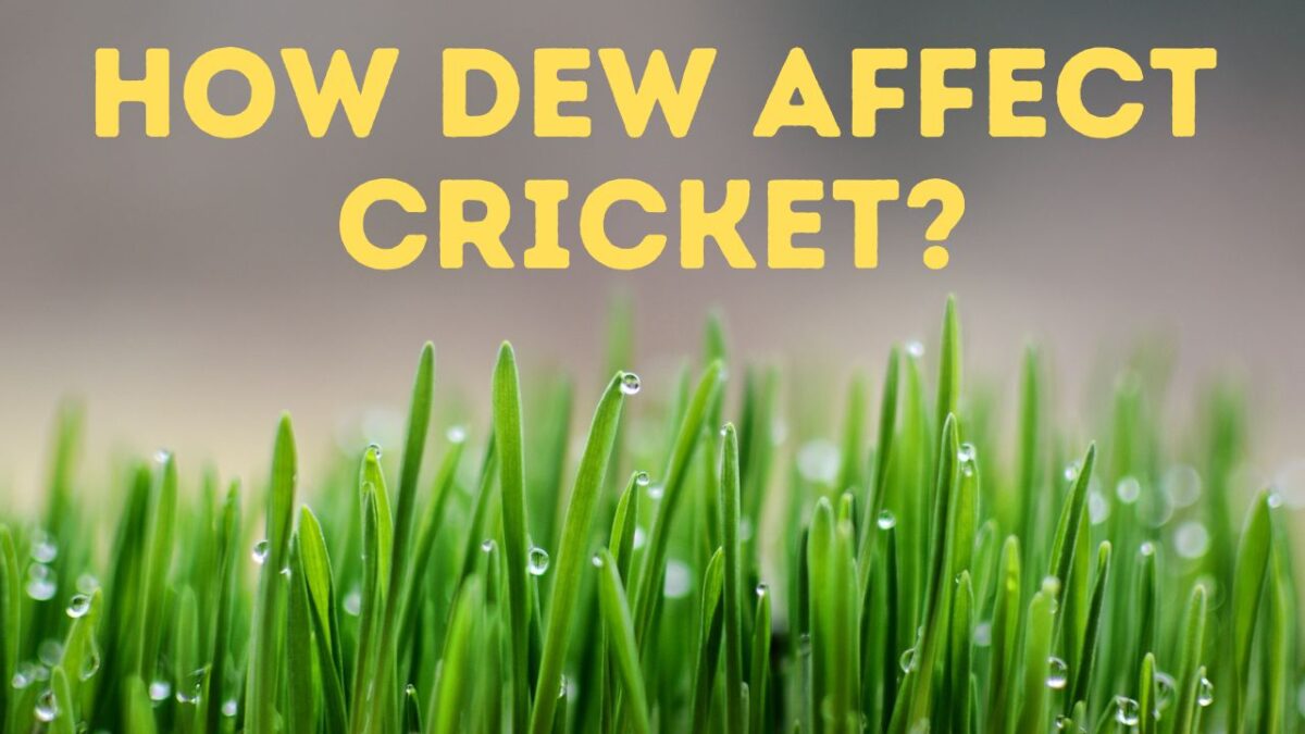 How Dew Affect Cricket