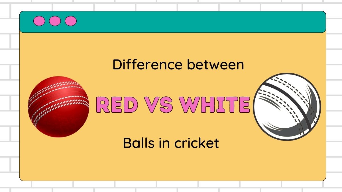 Difference Between Red and White Cricket Balls